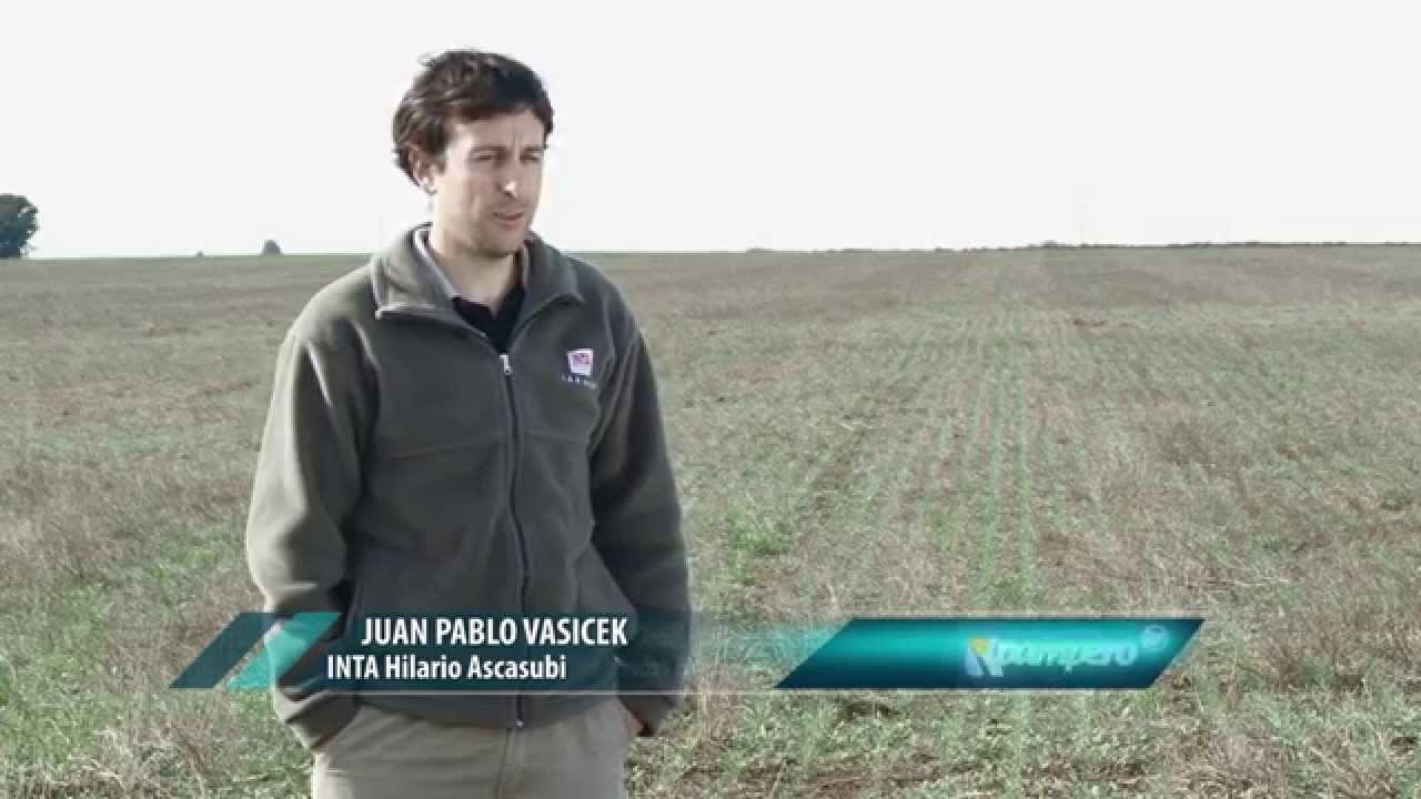 Agropiro
