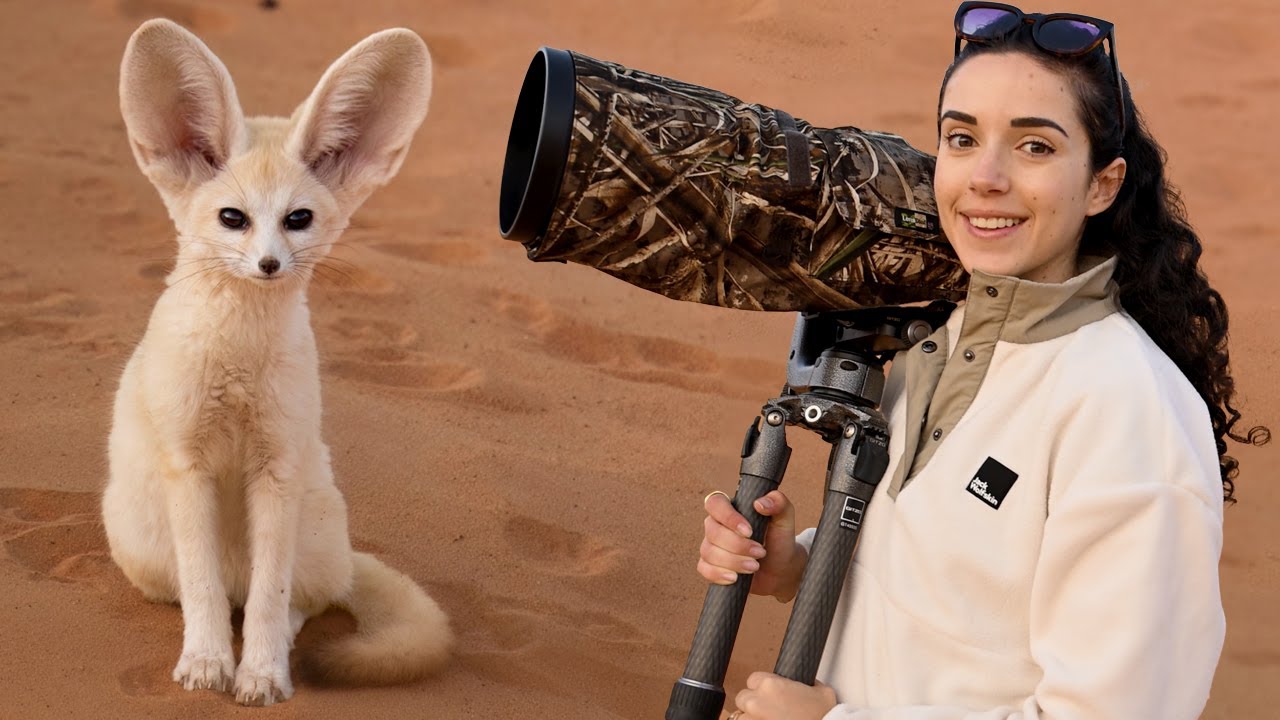 I Crossed the Sahara Desert to Find the World’s Smallest Wild Fox