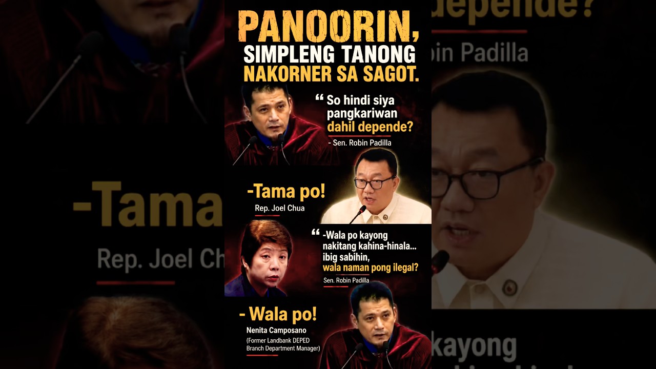 Rep. Joel Chua durog, Senator Robin Padilla nagtanong.