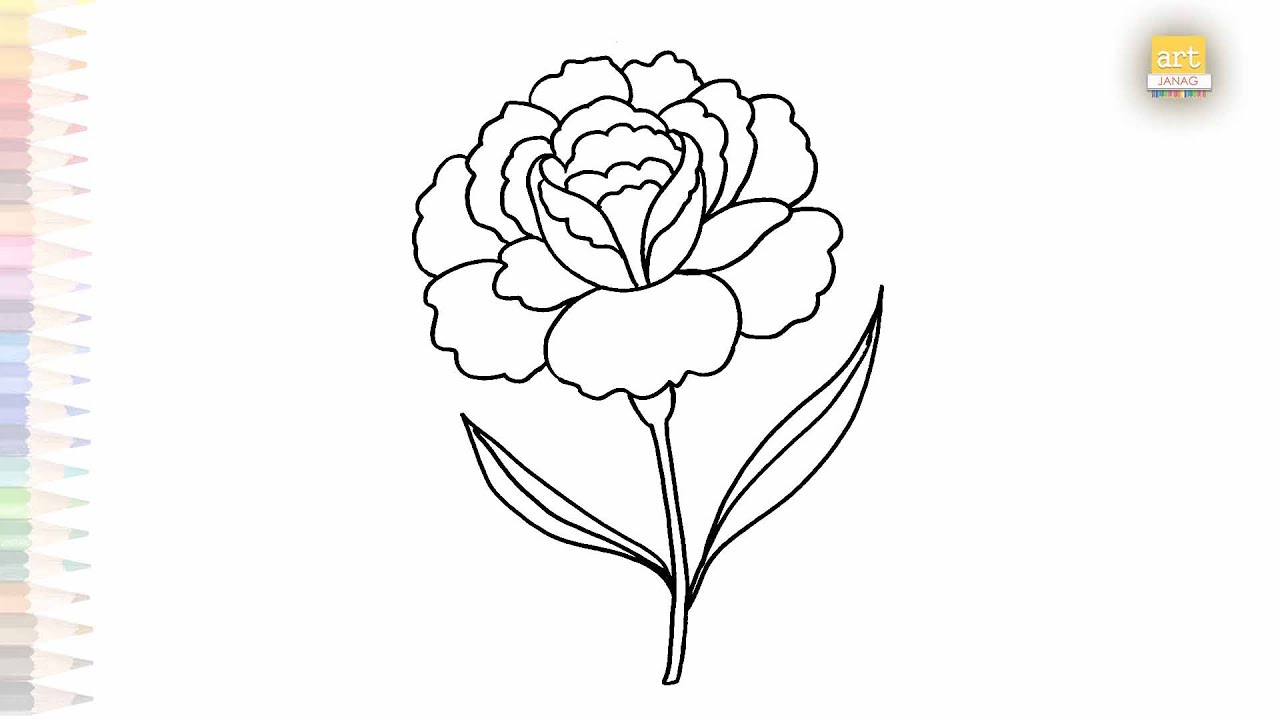 Carnation Flower drawings | Art tutorial | How to draw A Carnation Flower step by step | #artjanag
