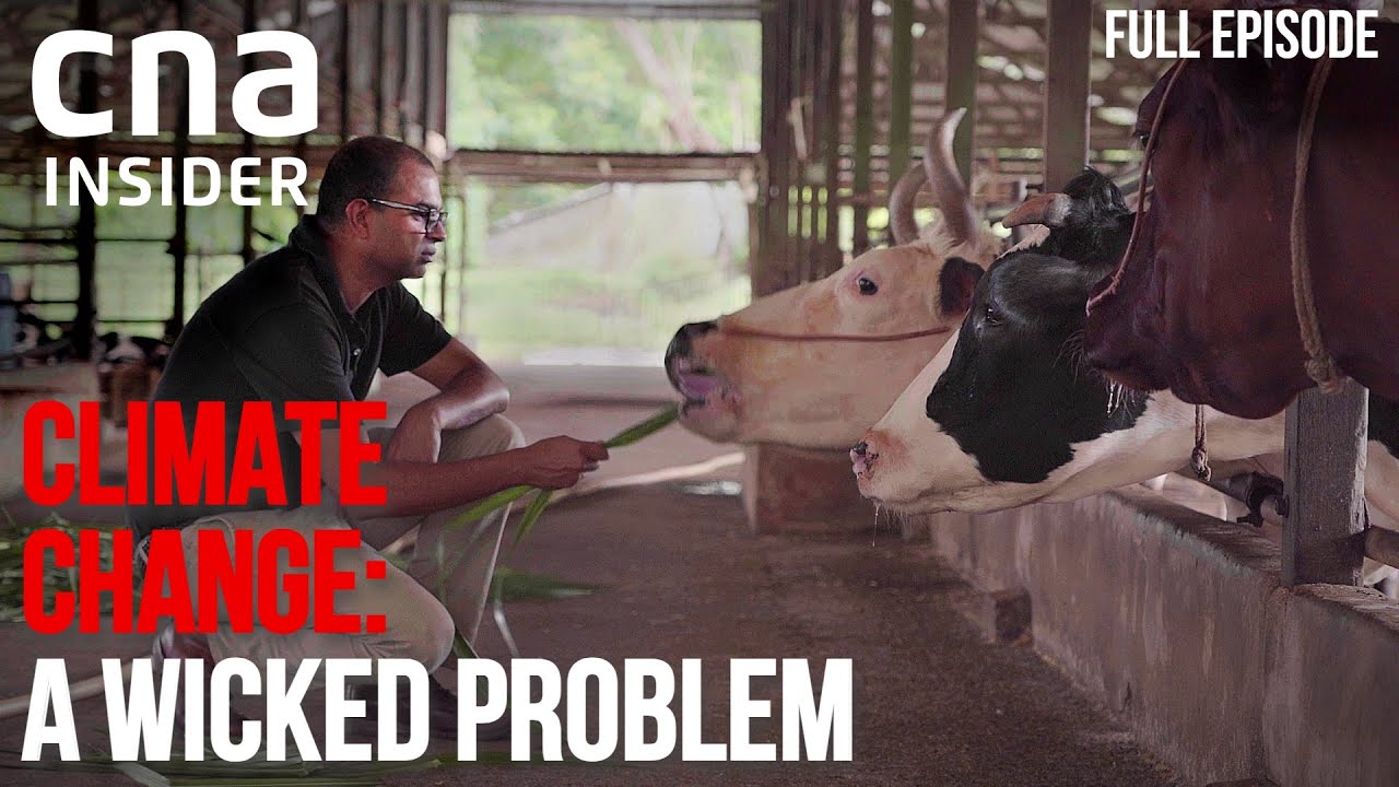 Singapore's Food Problem: Carbon Footprint Of A Food Paradise | Climate Change: A Wicked Problem