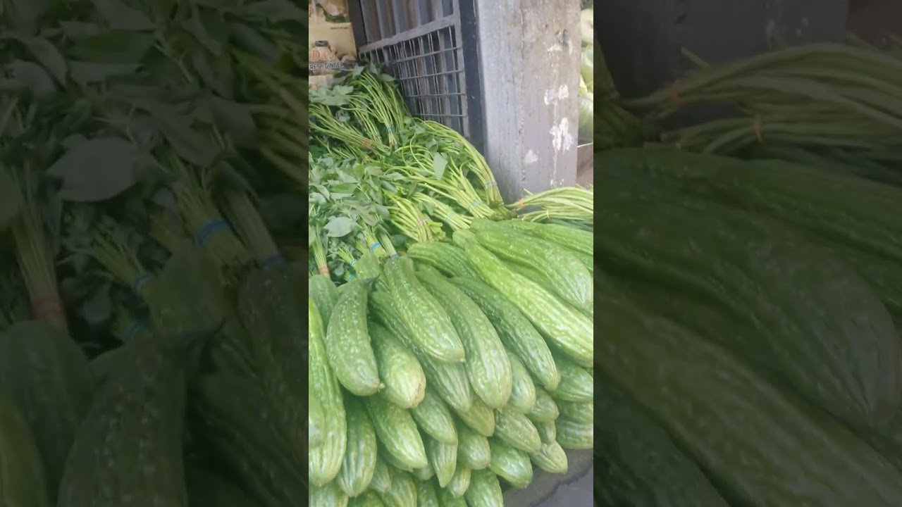 Market early today 🤩