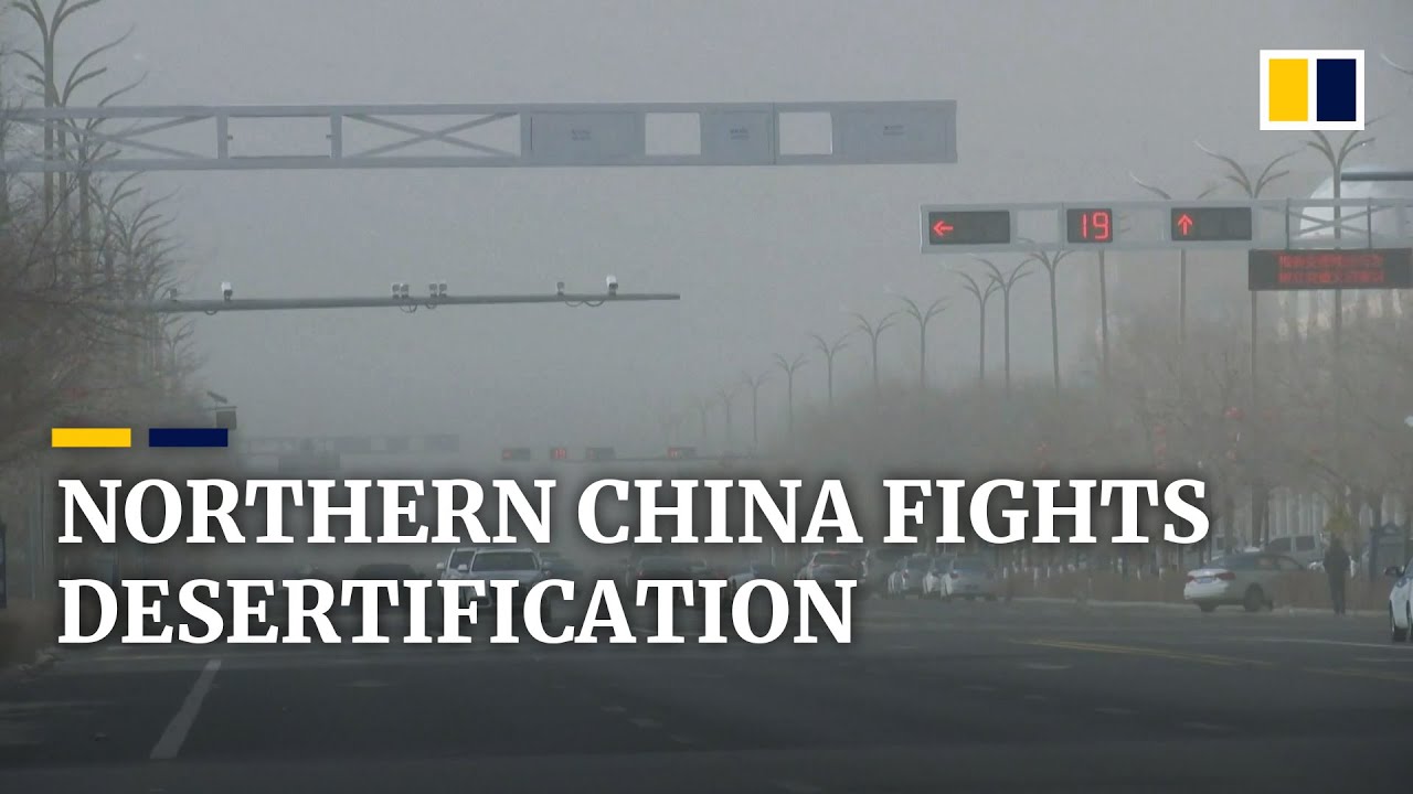 Inner Mongolia battles sandstorms and expanding desert by planting forest