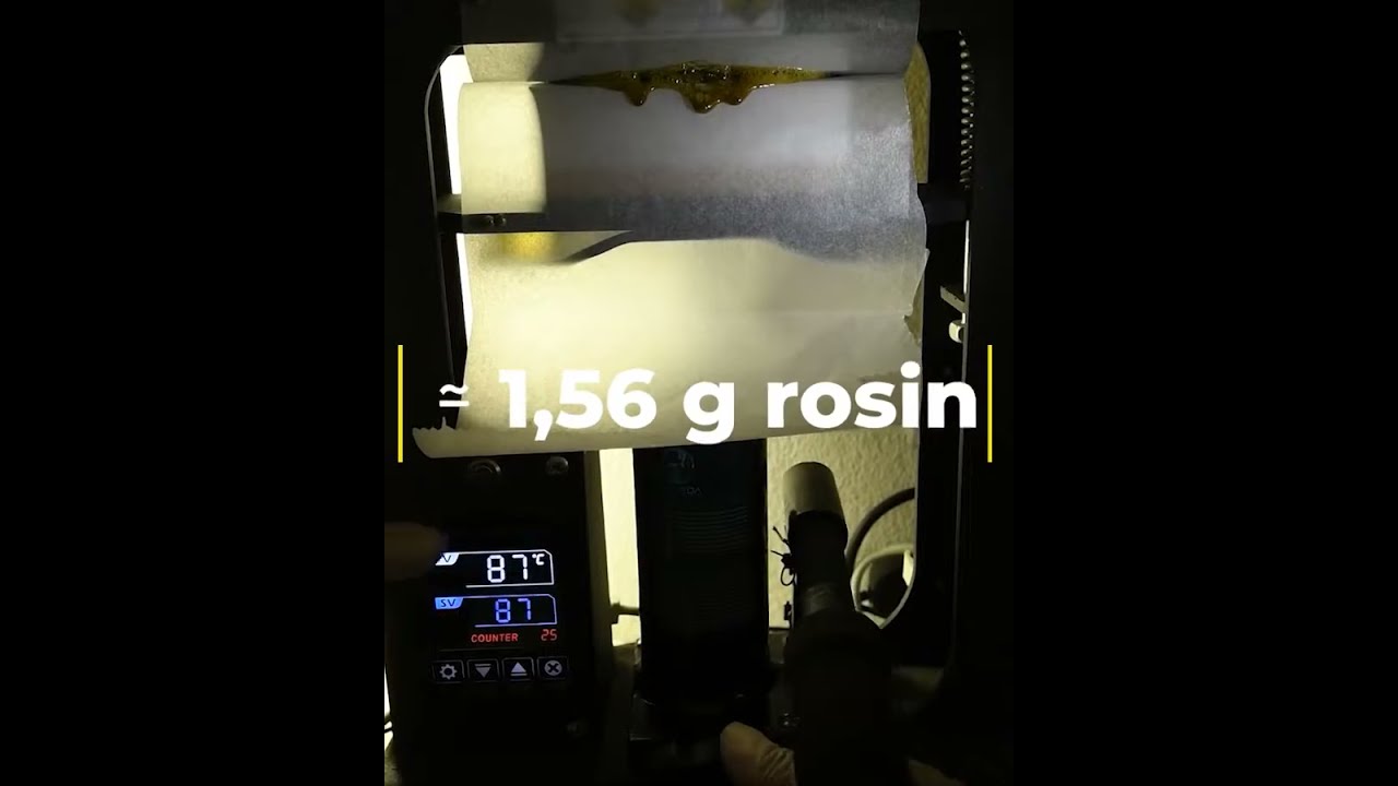 extraction de😋 Rosin😋 avec 😍Graveda 10T😍: 7gPeach Oz=1,56g Rosin😋