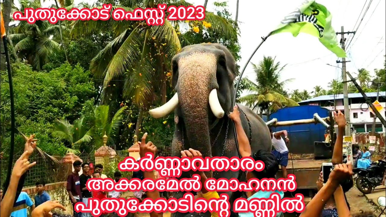 കർണ്ണാവതാരം അക്കരമേൽ മോഹനൻ പുതുക്കോടിന്റെ മണ്ണിൽ || പുതുക്കോട് ഫെസ്റ്റ് 2023 ||