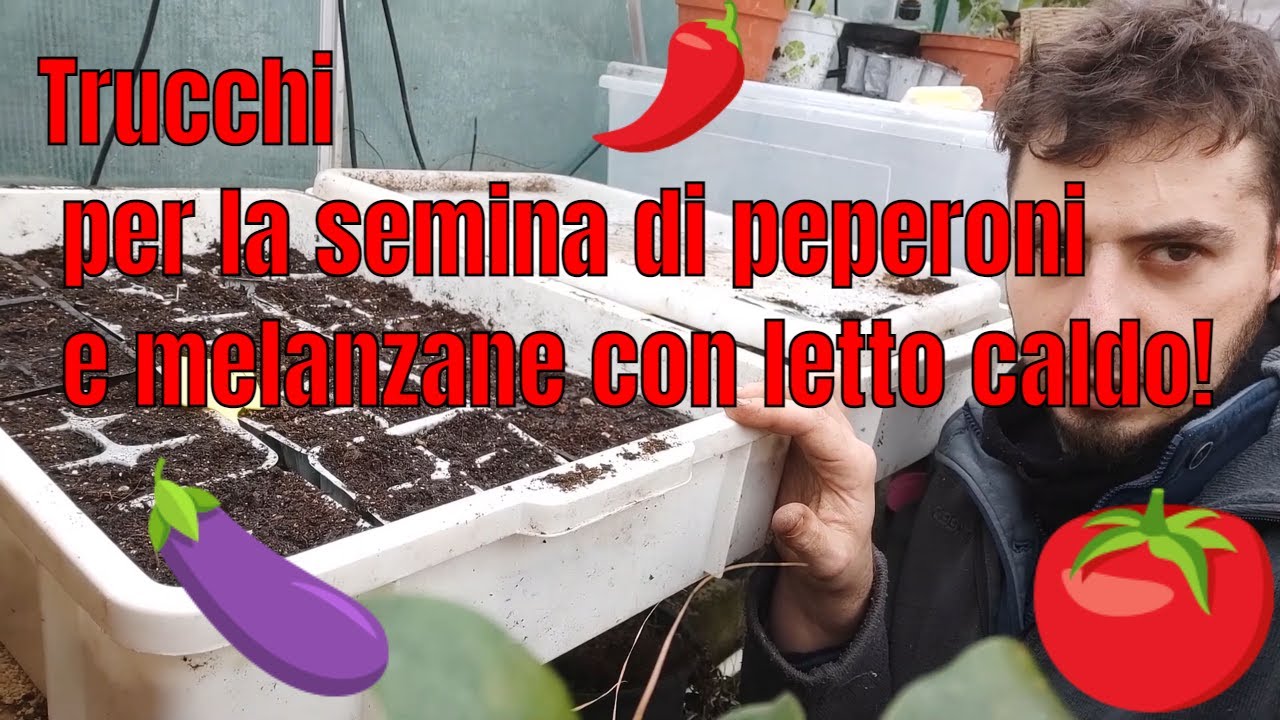 TRUCCHI per la SEMINA di PEPERONI e MELANZANE con letto CALDO!!!
