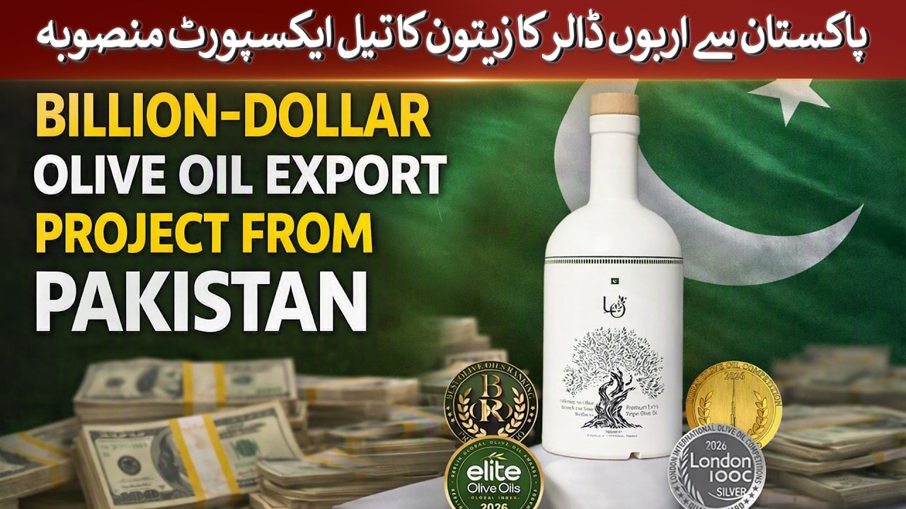 Billion-dollar olive oil export project from Pakistan | Rich Pakistan