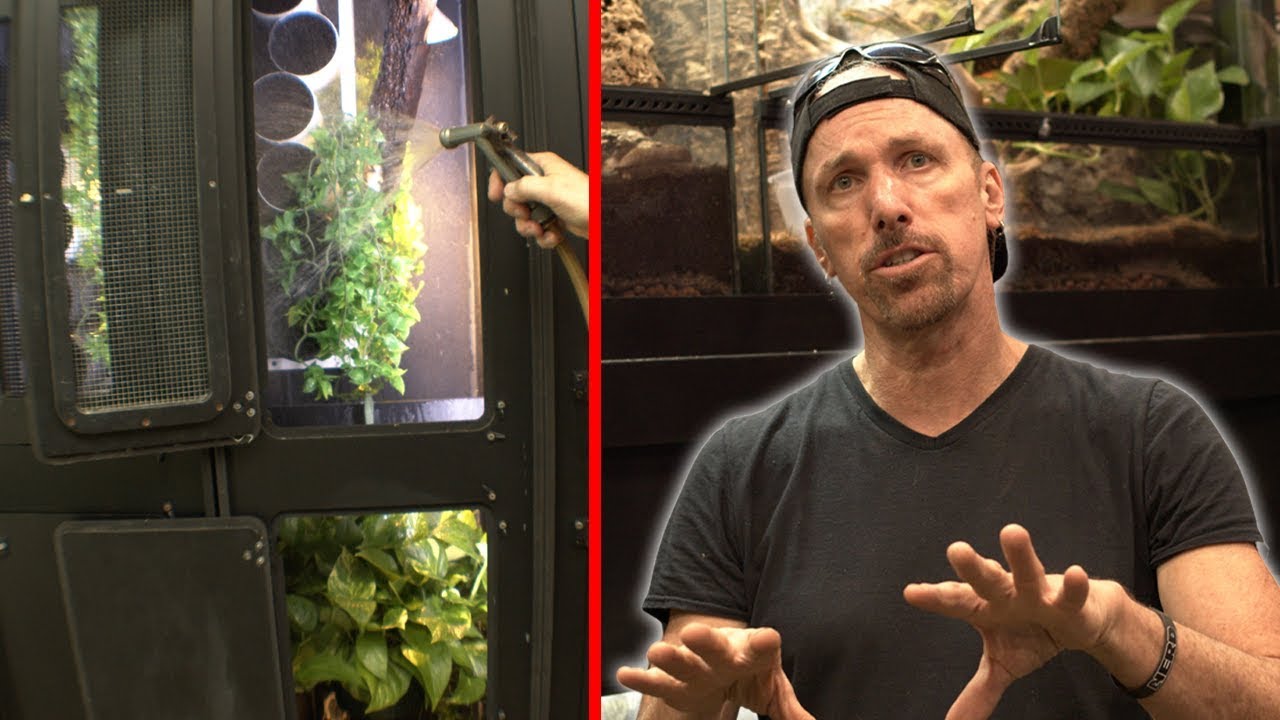 Gecko Enclosures - Breeding VS Keepers