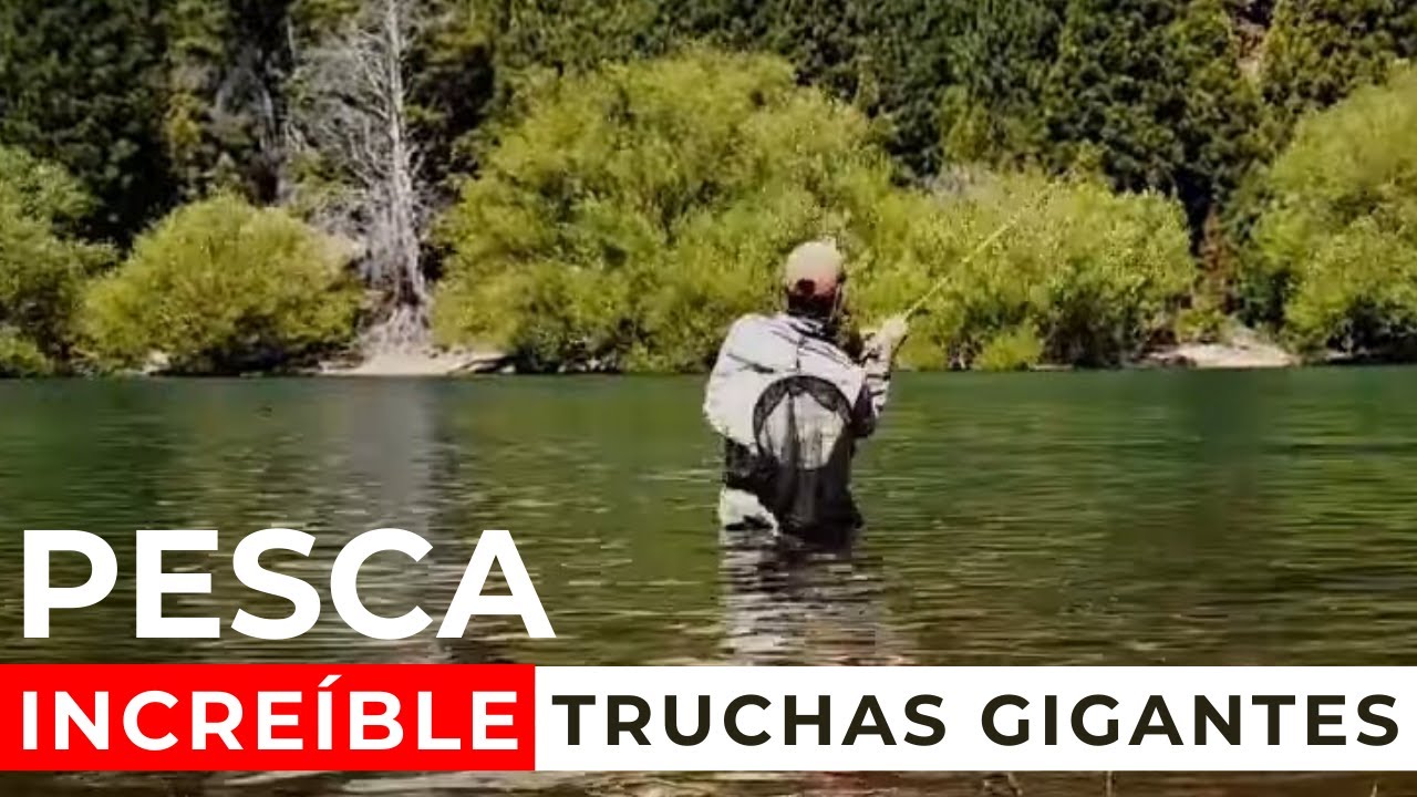 PESCA de GIGANTES ¡ESTO PUEDE SUCEDERNOS! PESCA en la Patagonia! 🐟 PESCA CON MOSCA, Fly Fishing