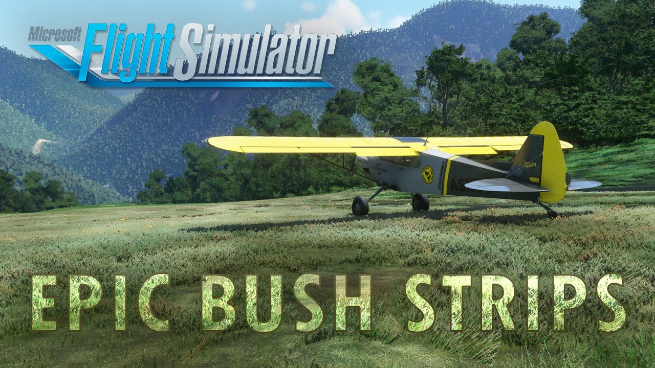 Epic Bush Airports in Microsoft Flight Simulator #1