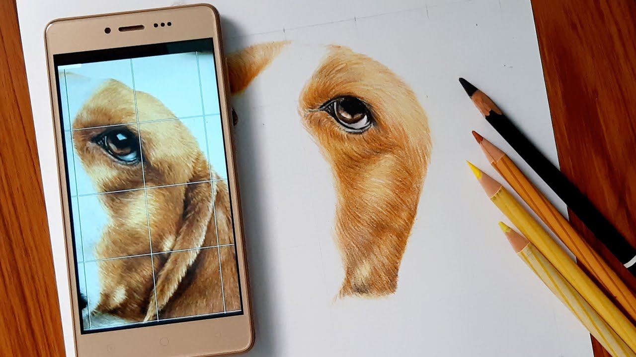 How to draw realistic coloured fur with staedtler watercolour pencil