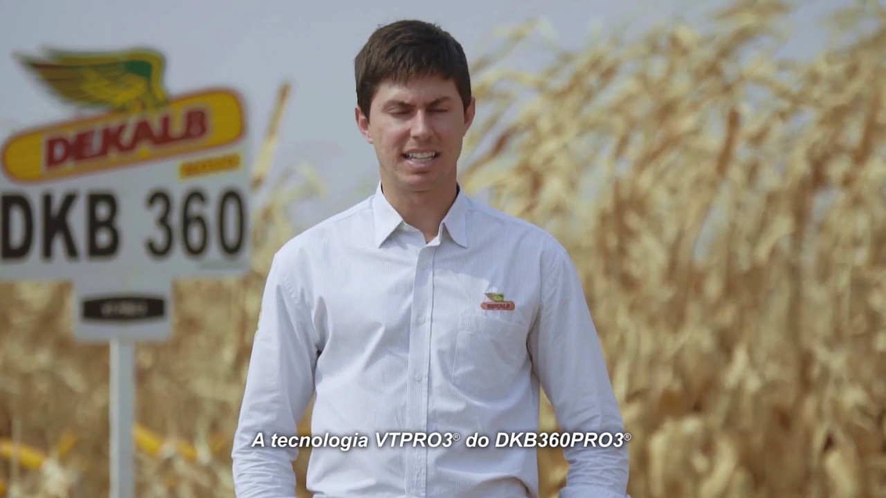 Confira os resultados da colheita do DKB 360 PRO3&reg;
