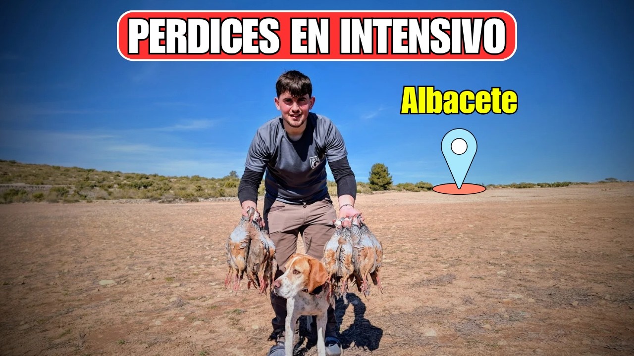 Caza de Perdiz con Perro de Muestra | Suelta Pozo Lorente - Parte 1