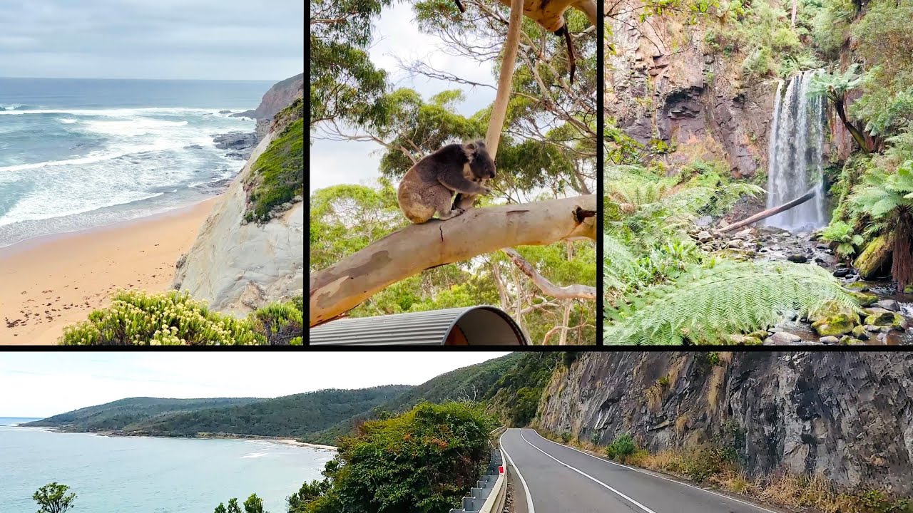 Bimbi Park, Koalas, Cape Otway, Californian Redwoods, Hopetoun Falls, Maits Rest, Roadtrip EP06