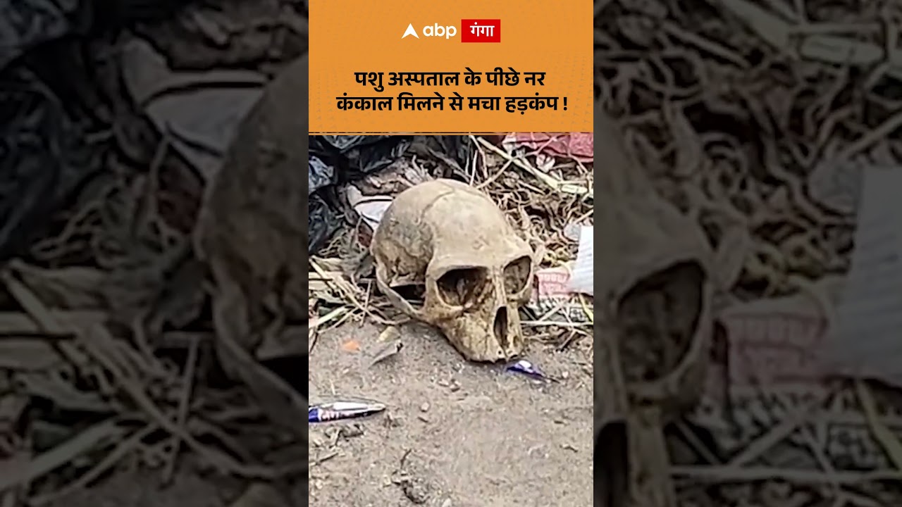 Mau NEWS: पशु अस्पताल के पीछे नर कंकाल मिलने से मचा हड़कंप ! | ABP GANGA SHORTS