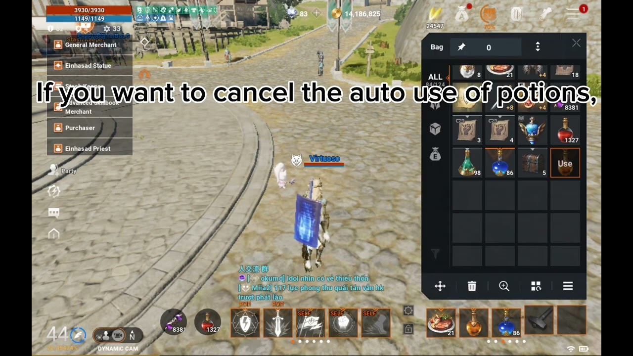Greater Health Potion Lineage 2M Auto Use guide.