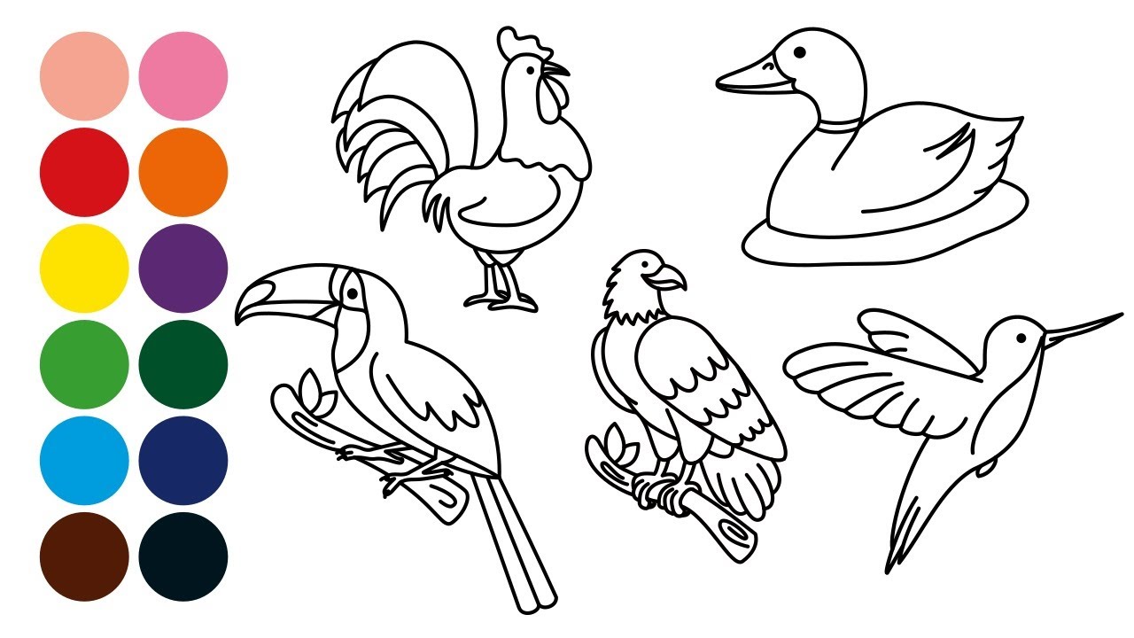 ANIMALES PÁJAROS 1 dibujar y colorear para niños -  Dibujar animales com Strauss