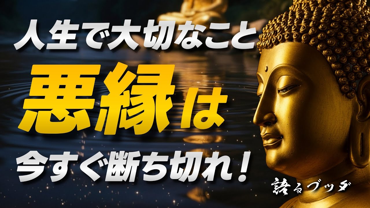 【ブッダの教え】人生で大切なこと。悪縁は今すぐ断ち切れ！心を縛る鎖を解き放ち、自由になる方法✨