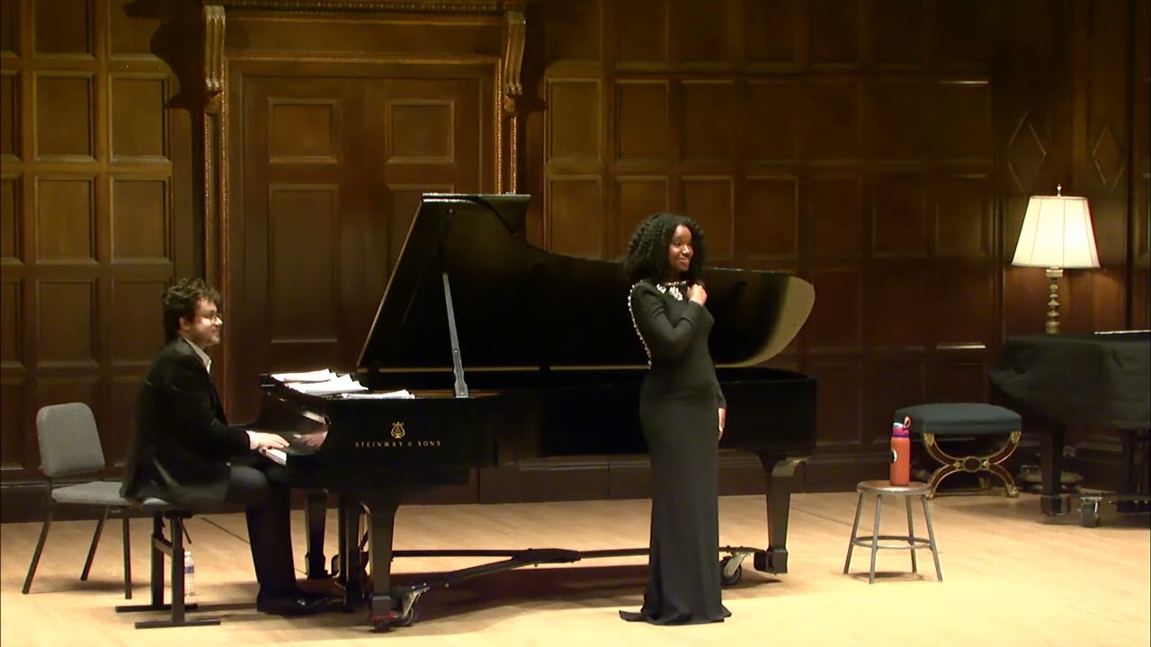 HD LIVE F. Schubert. Geheimes, D.719 (