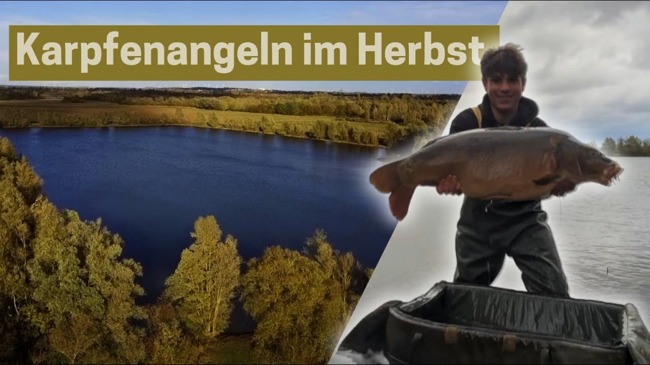 Karpfenangeln im Herbst🍁🍂So kommst du an die richtig großen Fische🐟