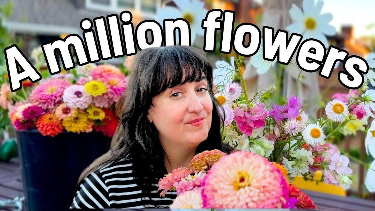 One Million Flowers! 🌿 Planting Seedlings, Saving Seeds & Harvesting Blooms