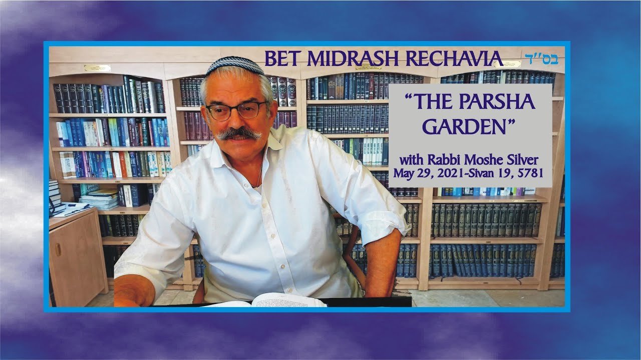 BET MIDRASH RECHAVIA - THE PARSHA GARDEN - LESSON 1 Shelach
