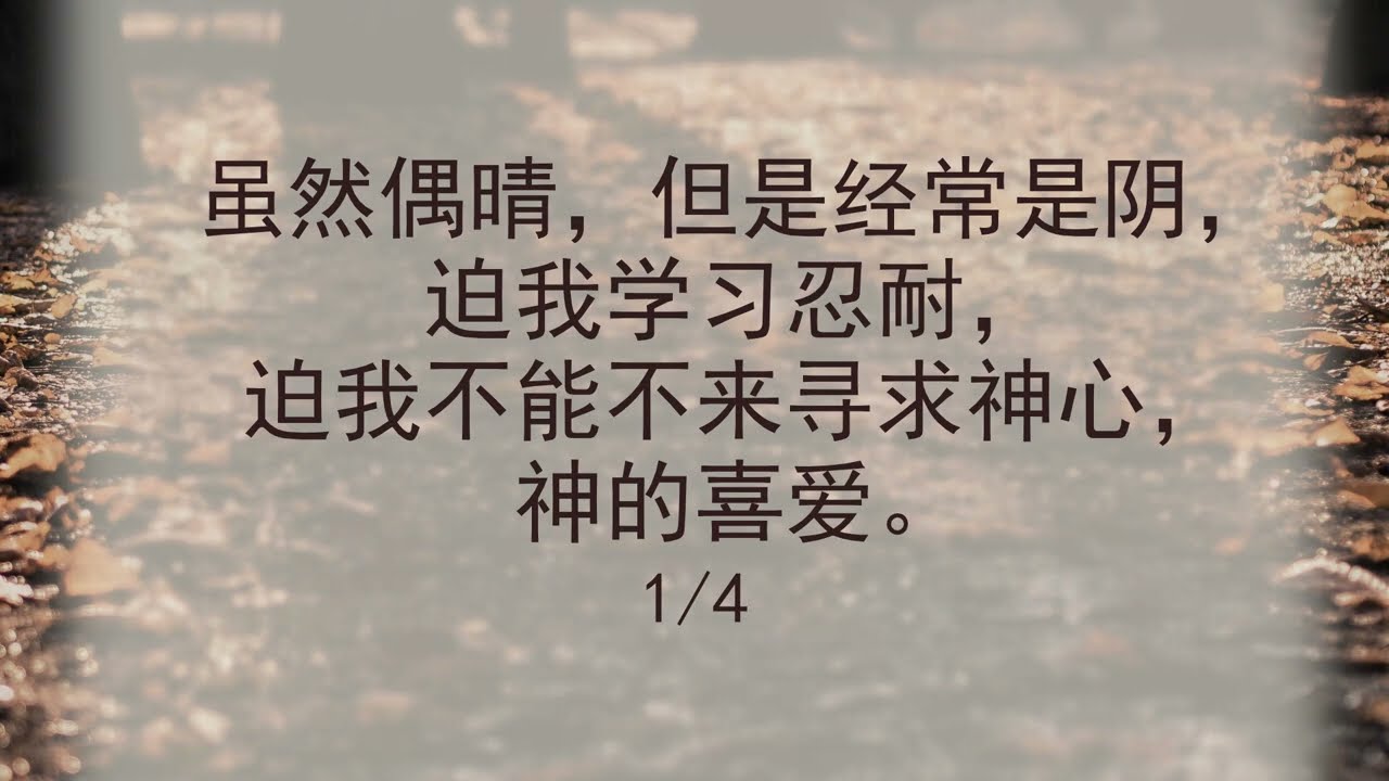 选本诗歌 第538首 有时，偶是青天