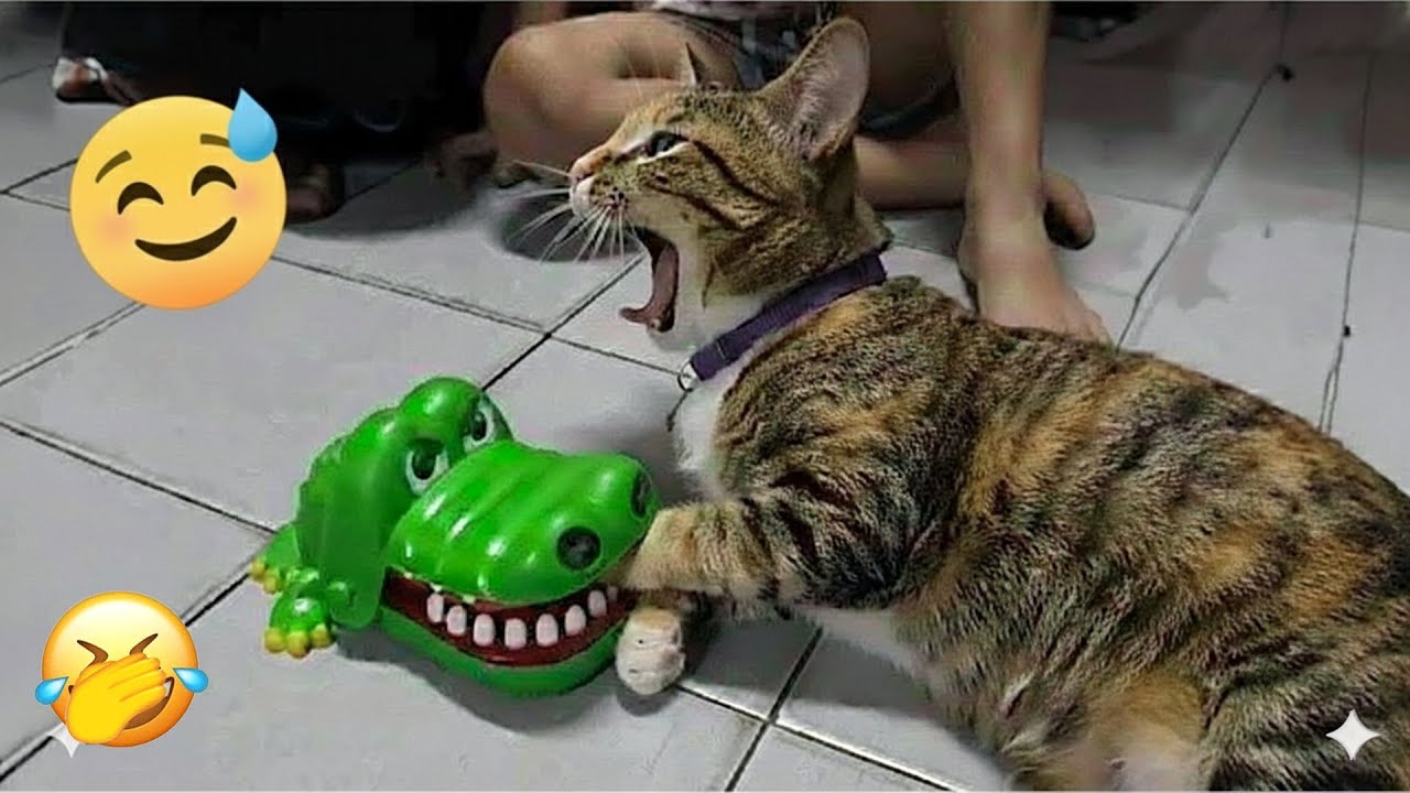 You Laugh You Restart 😽 Funniest Cats and Dogs 2026 🐕 💛 Part 3