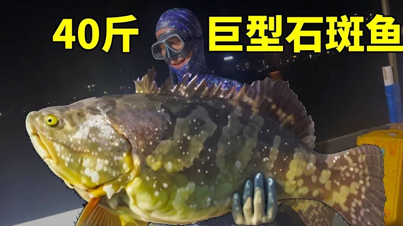 大石斑老巢遭雙龍圍剿！兄弟狂撈千斤暴富！網友：這波是魚群自動上供嗎？【探海渔人】
