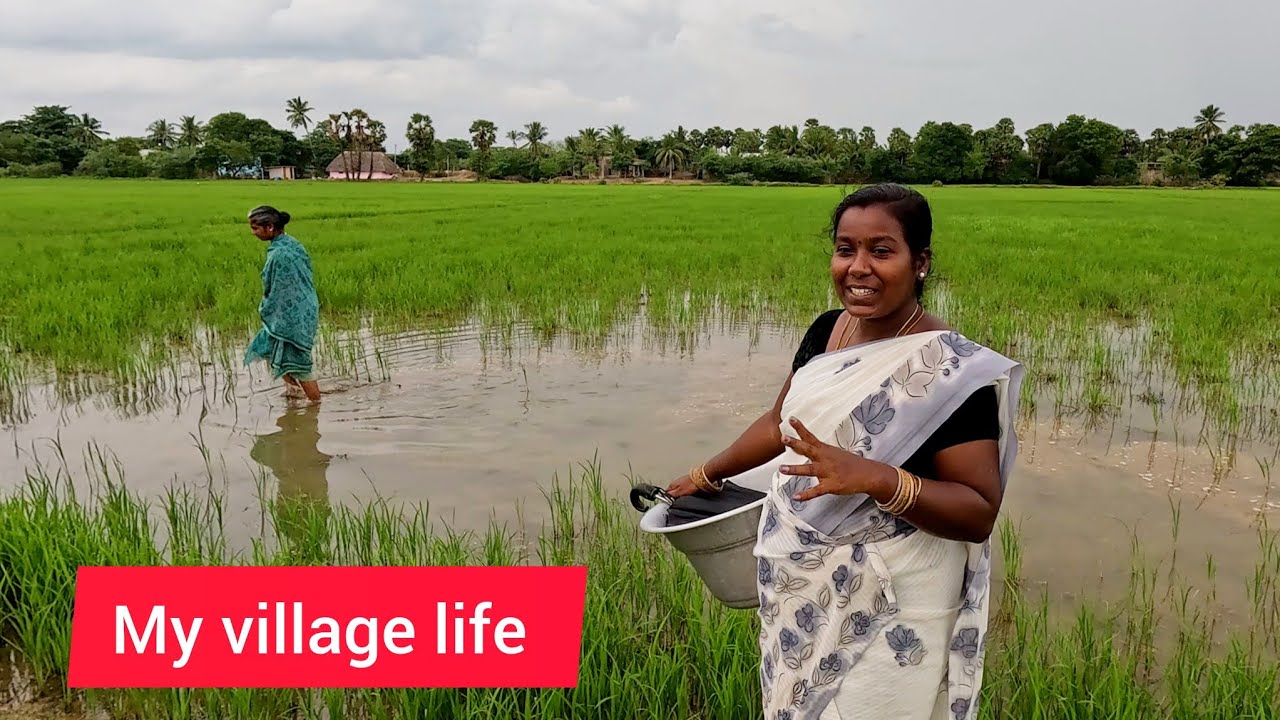 ஏமாற்றத்தில் செல்வி அண்ணியும் அம்லாவும்😀 keluvathur vlog