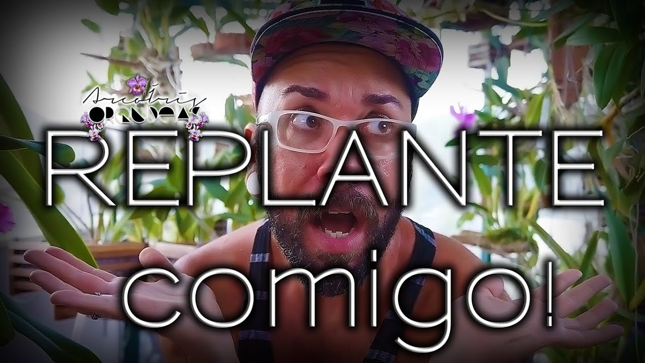 🌿🏳‍🌈💚 8 REPLANTES em 40
