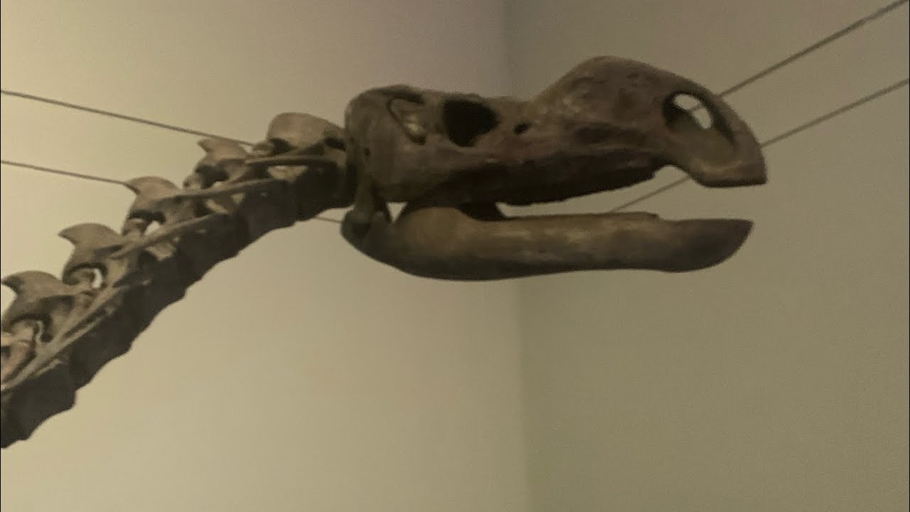 Spinosaurus is overrated 
