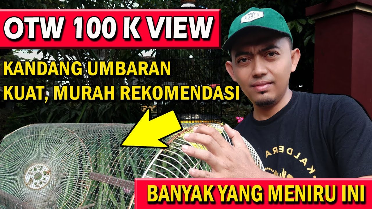 cara membuat umbaran lovebird kenari kuat murah banyak yang meniru ini