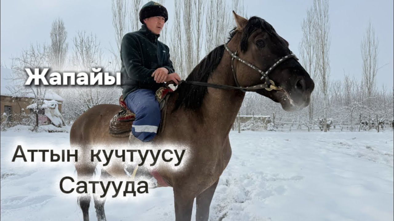 Жапайы сатууга чыкты Ноокат ынтымак айылы тел: 0503912300