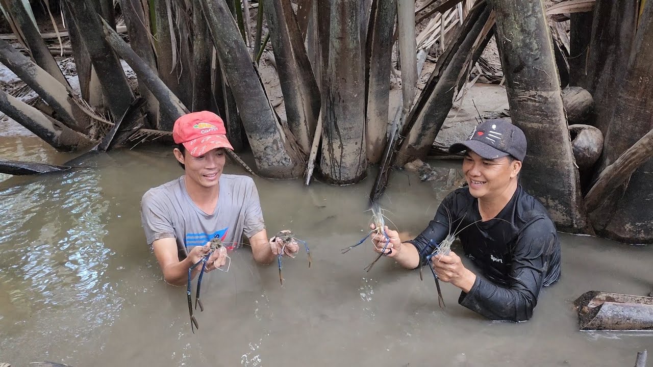 Phát Hiện Con Rạch Nước Sâu Không Ngờ Đây Là Chỗ Tôm Càng Xanh Trú Ngụ | BQCM & Family T868