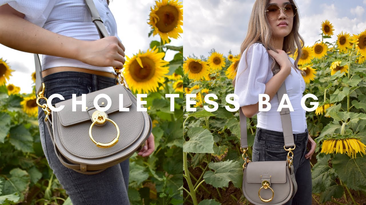CHLOE TESS BAG | BAG REVIEW | WHAT'S IN MY BAG