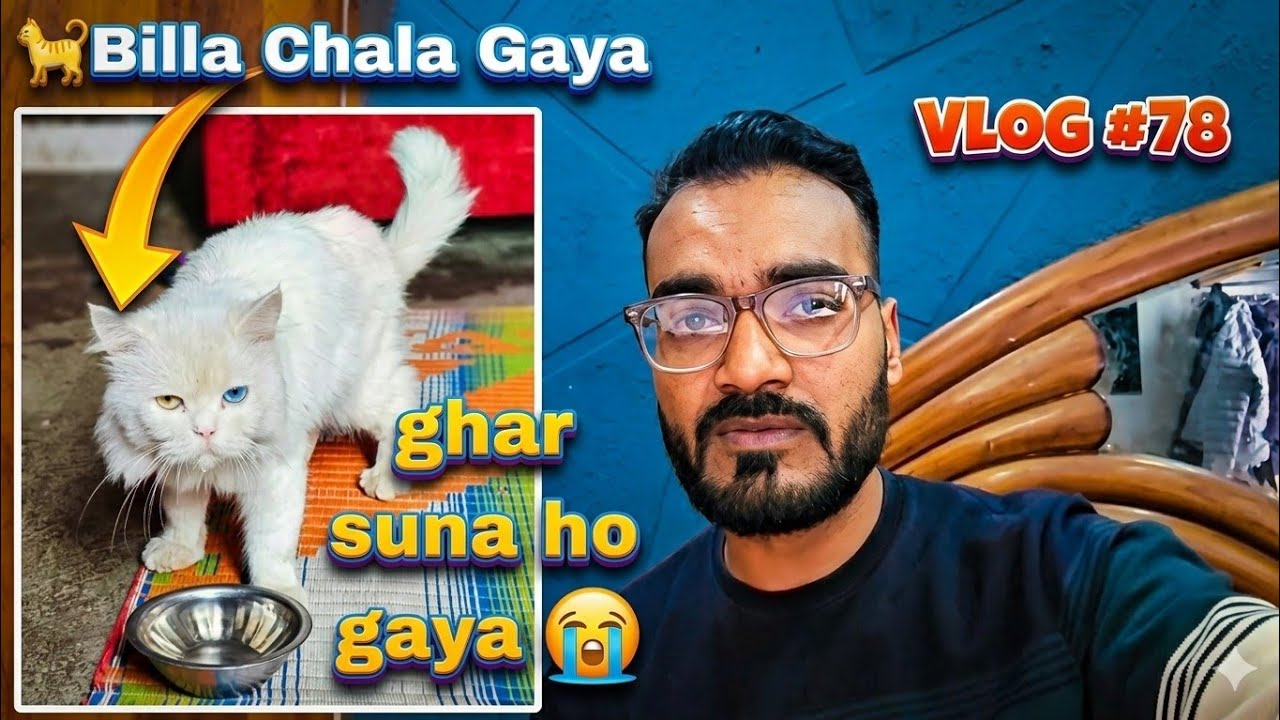 Vlog #78 | Persian Bille Ke Jane Se Ghar Suna Ho Gaya | Bpl Biker Vlogs