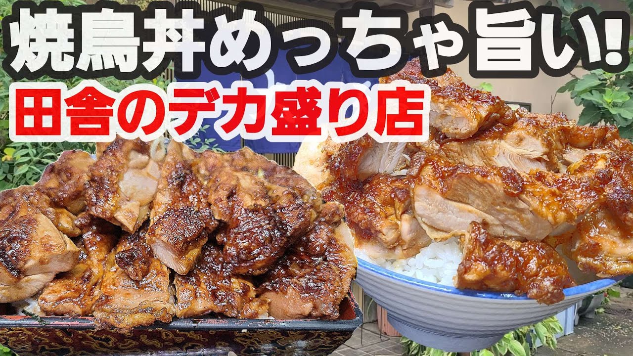 【千葉県匝瑳市 大天】コスパ最高!安くてデカ盛りで旨い!田舎の隠れたデカ盛り店