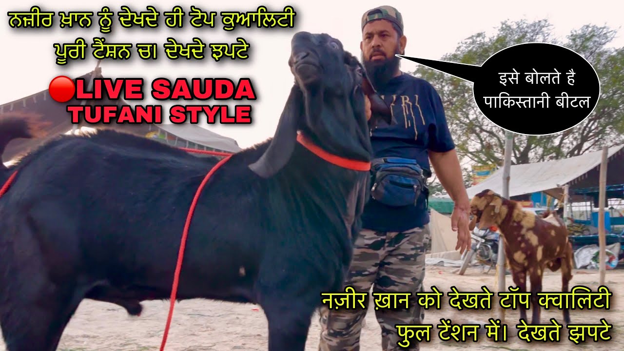 नज़ीर ख़ान को देखते टॉप क्वालिटी फुल टेंशन में। देखते झपटे #live_sauda tungwali mandi @farming baba