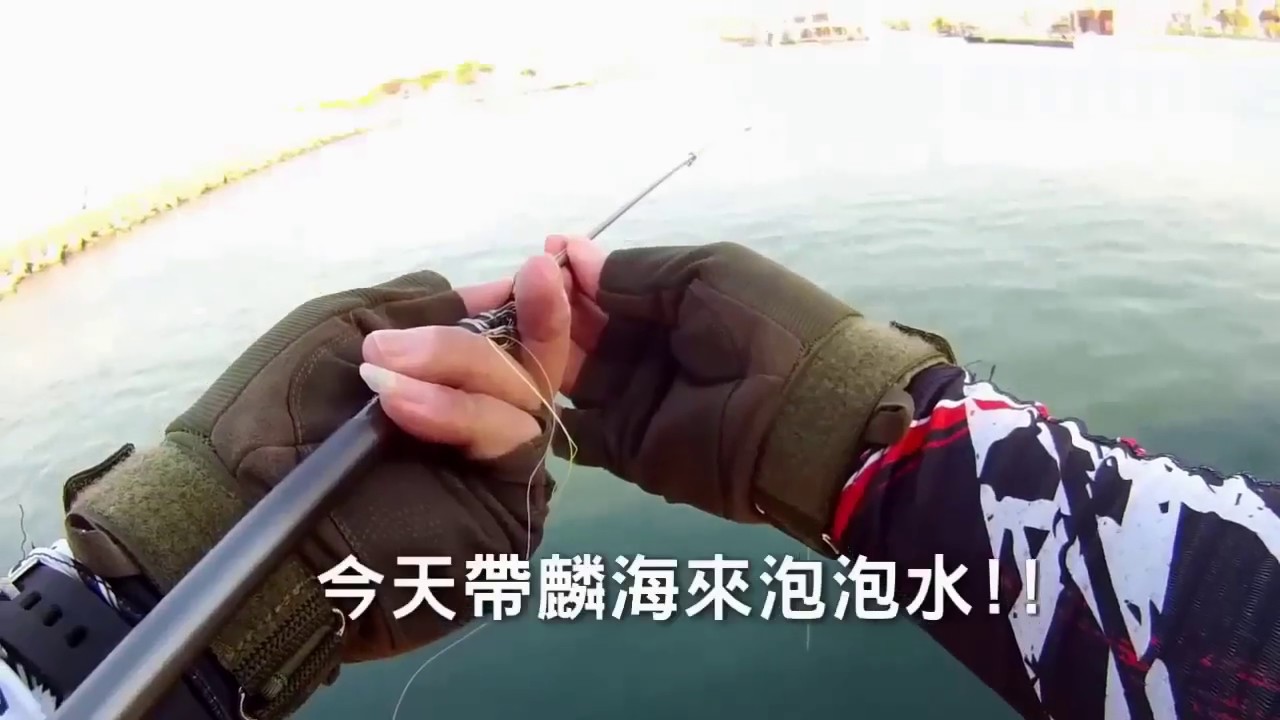 磯釣~南寮~前打~落入 ~紀錄南寮釣友港內拉到3指白帶