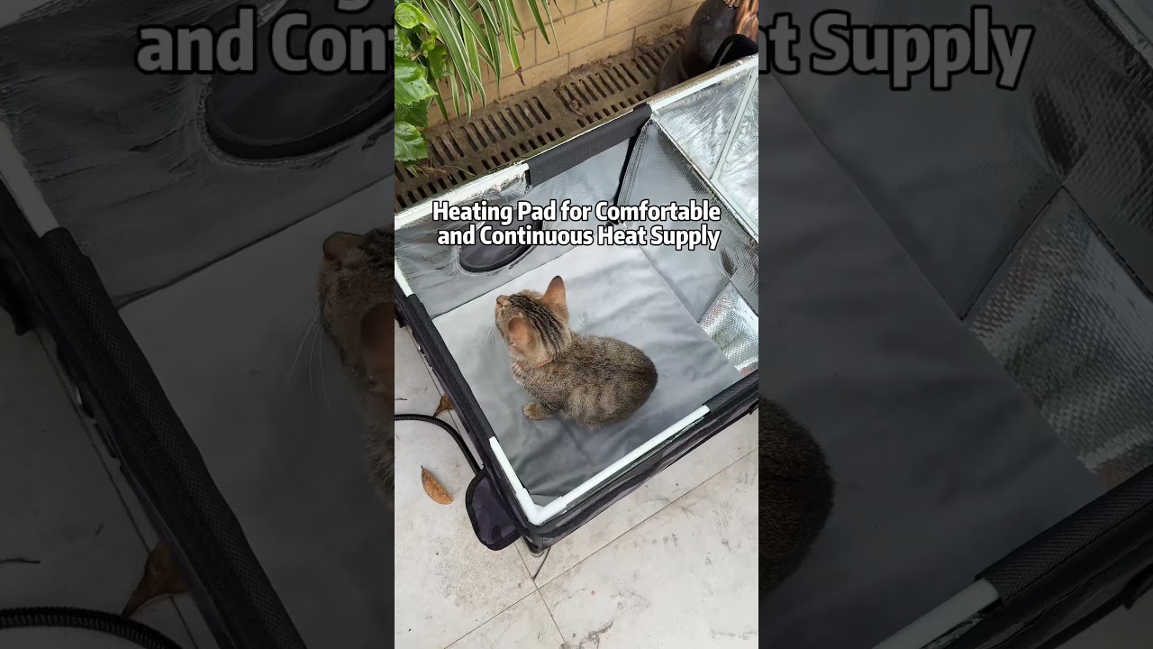 ❄️ Help them stay safe this winter! #clawsable