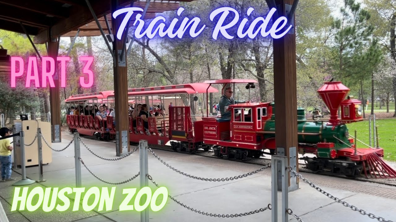 Houston Zoo Train Ride Part # 3 @Amna_Parvaiz #travel #2024 #houstonzoo #animals ​⁠​⁠@houstonzoo