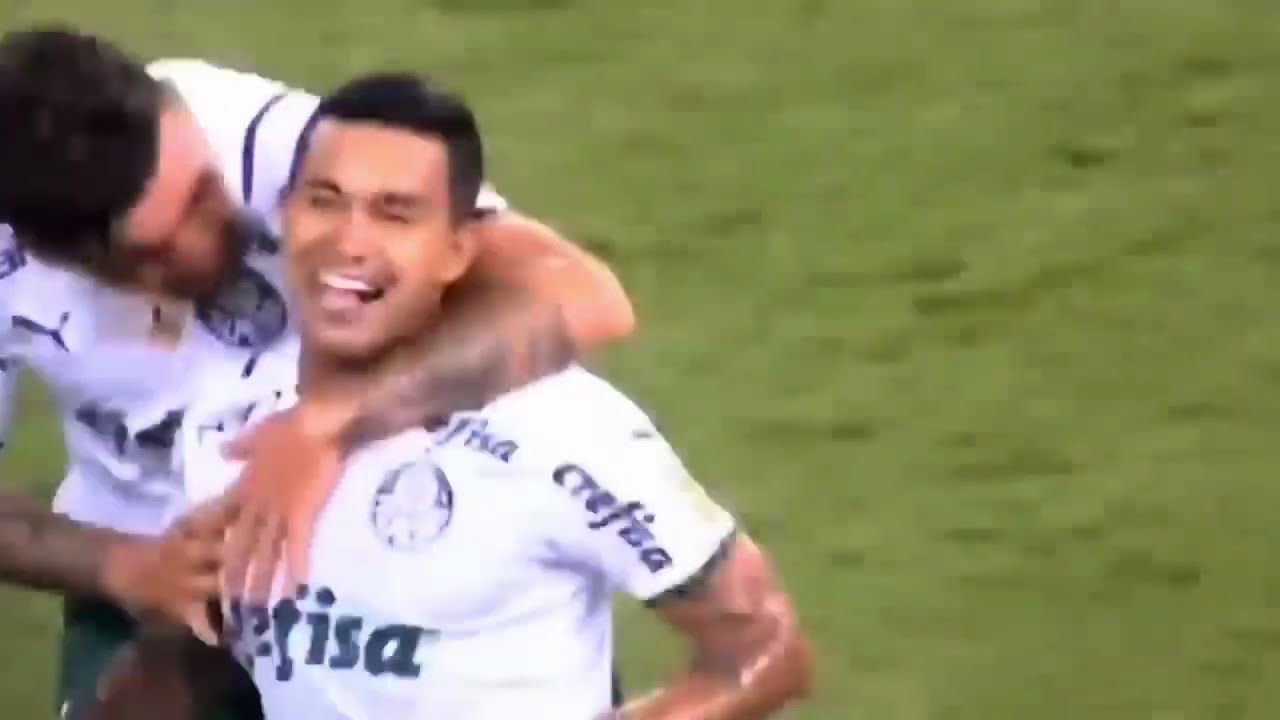 TODOS OS GOLS DO DUDU PELO PALMEIRAS
