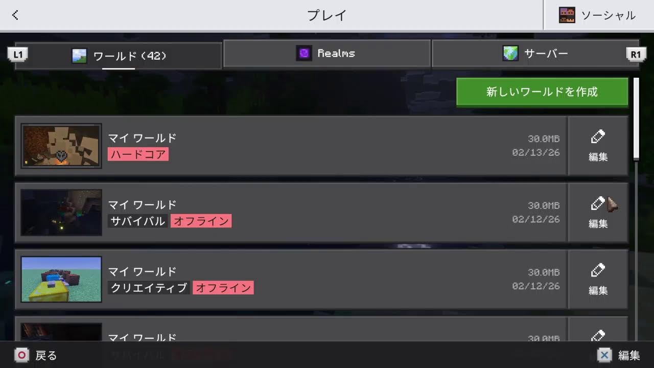 マイクラソロ