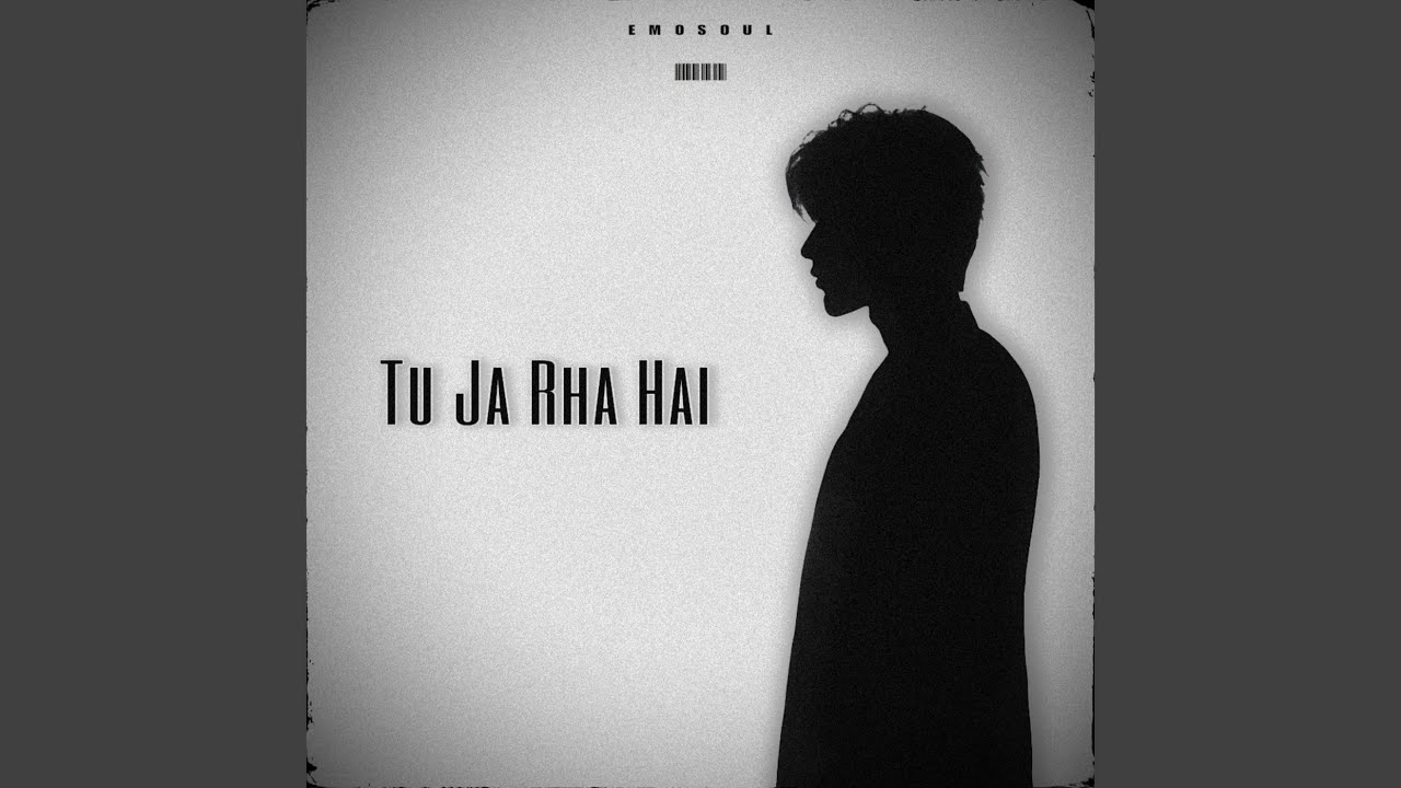 Tu Ja Rha Hai
