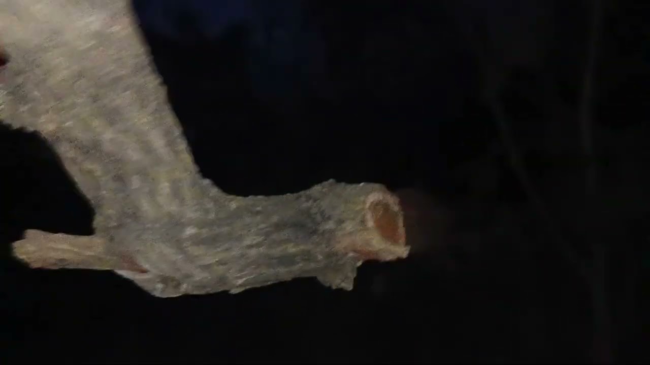 World 🌎 most horror place  भारत का सबसे भूतिया जगह ।। यहां कोई भी नहीं आता है हम रात में यही रुकेंगे