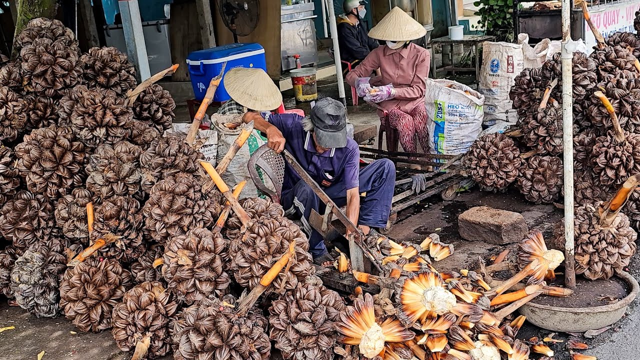 [Full] Amazing Giant Fruit - Nipa Palm Fruit Cutting Skills