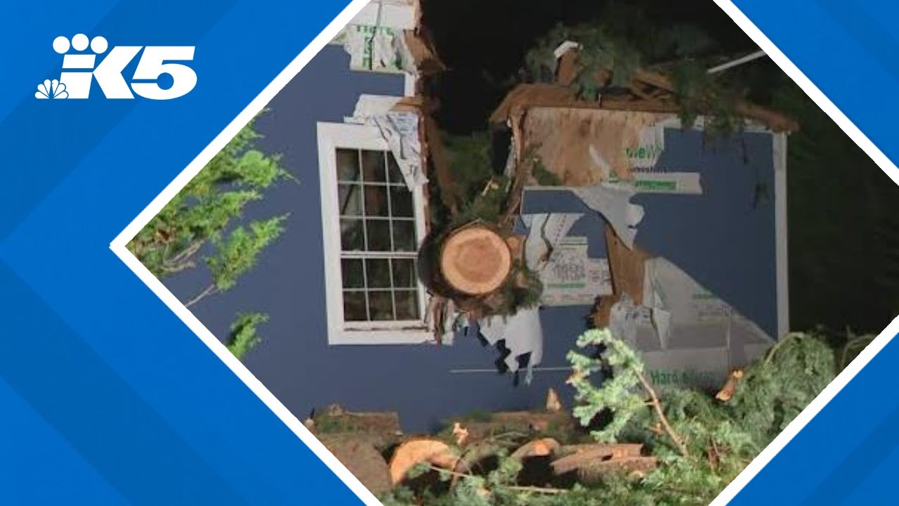 Crews scrambling to clean up trees and restore power
