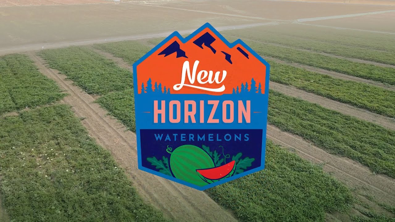 Introducing The NEW HORIZON Watermelon Collection