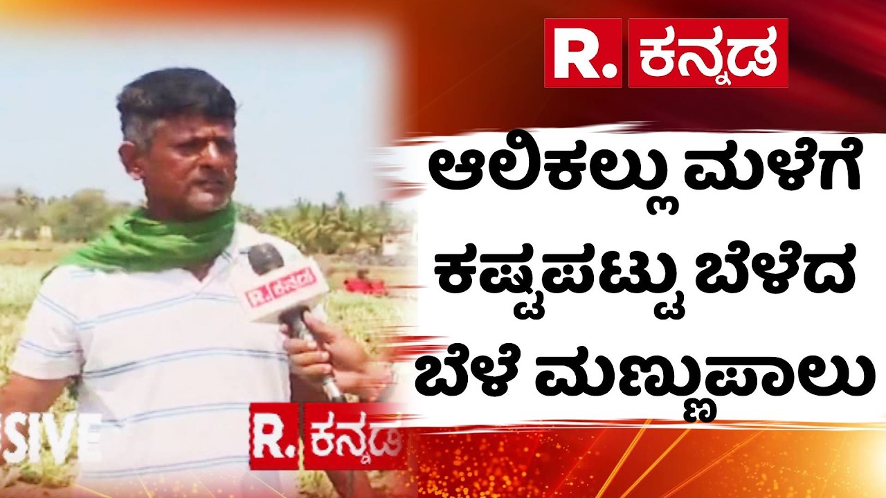 Belagavi Rain Effect | ಆಲಿಕಲ್ಲು ಮಳೆಗೆ ಕಷ್ಟಪಟ್ಟು ಬೆಳೆದ ಬೆಳೆ ಮಣ್ಣುಪಾಲು | Karnataka